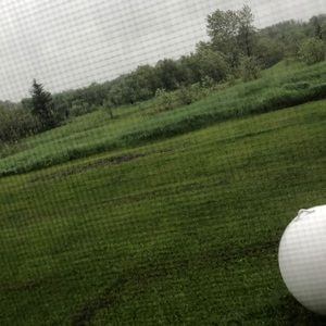 Meet your Posher, Ellie